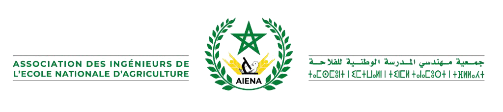 AIENA